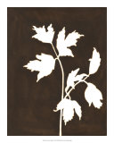 Buy Four Seasons Foliage IV at AllPosters.com