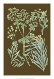 Buy Organic Greenery IV at AllPosters.com