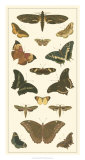 Buy Cramer Butterfly Panel II at AllPosters.com