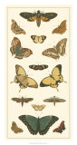 Buy Cramer Butterfly Panel I at AllPosters.com