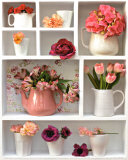 Buy Casier Rose at AllPosters.com