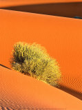 Buy Dune et Herbe at AllPosters.com