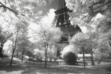 Afternoon In Paris