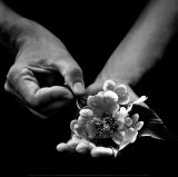 Offrande a l'Horte Art Print
