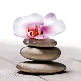 Buy Orchidee aux Galets at AllPosters.com