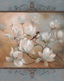 Buy Magnolia Splendor at AllPosters.com