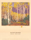 Aspen, Red River