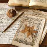 Buy Authour d'Un Herbier at AllPosters.com