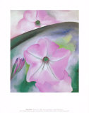 Petunia no. 2