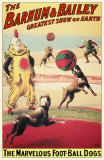The Barnum And Bailey- Greatest Show On Earth