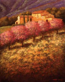 Buy Cherry Blossoms at AllPosters.com