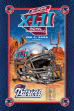 AFC Champions- New England Patriots
