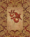 Buy Regal Iris at AllPosters.com