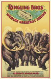 Buy Ringling Brothers World's Greatest Shows at AllPosters.com