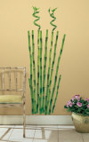 Buy Bamboo at AllPosters.com