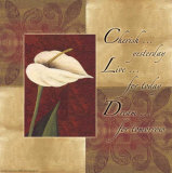 Calla Lily: Cherish Live Dream