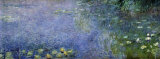 Waterlilies II