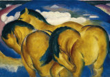 Little Yellow Horse, c.1912
