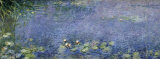 Waterlilies I
