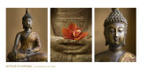 Spiritual Knowledge Kunstdruck