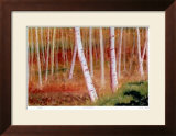 Buy The White Forest at AllPosters.com