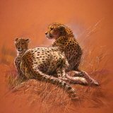 Buy Cheetah Mother at AllPosters.com