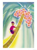 Coco-Palm