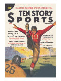 Buy Ten Story Sports at AllPosters.com