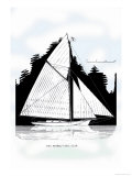 Buy Petrel at AllPosters.com