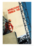 Buy Red Field at AllPosters.com