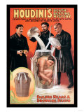 Houdini's Death-Defying Mystery