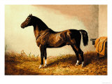 Buy Don Carlos at AllPosters.com