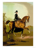 Buy Ladies' Horse at AllPosters.com