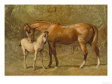 Buy Thoroughbred Mare and Foal at AllPosters.com