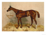 Buy Emblem, Steeplechase Mare at AllPosters.com