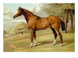 Buy Stilton, A Hunter at AllPosters.com