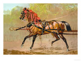 Buy State Carriage Horse at AllPosters.com
