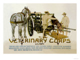 Buy Veterinary Corps. U.S. Army at AllPosters.com