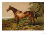 Buy Fair Nell at AllPosters.com