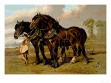 Buy Clydesdale Stallion and Mare at AllPosters.com