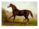 Buy Blair Athol at AllPosters.com