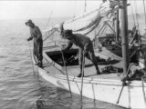 Buy Fishing Oysters in Mobile Bay at AllPosters.com