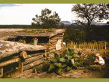 Buy Dugout Home Graden of Jack Whinery in Pie Town at AllPosters.com