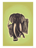 Buy Indian Elephants at AllPosters.com