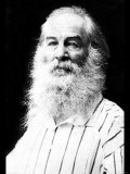 Buy Walt Whitman at AllPosters.com