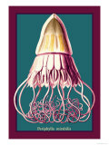 Buy Jellyfish: Periphylla Mirabilis at AllPosters.com