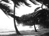 Hurricane Waves Strike the Seawall