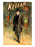 Buy Kellar: the Forest of Imps at AllPosters.com