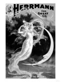 Buy Herrmann the Great Co. at AllPosters.com