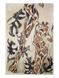 Buy Giraffes at AllPosters.com